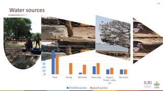 Silvopastoralism and welfare of farmed animals in Ethiopia 