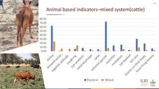 Silvopastoralism and welfare of farmed animals in Ethiopia 