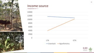 Silvopastoralism and welfare of farmed animals in Ethiopia 