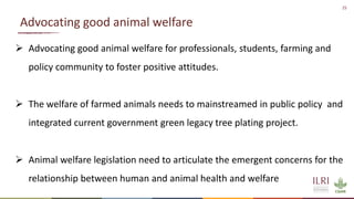 Silvopastoralism and welfare of farmed animals in Ethiopia 