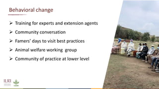 Silvopastoralism and welfare of farmed animals in Ethiopia 