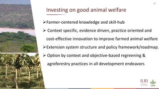 Silvopastoralism and welfare of farmed animals in Ethiopia 