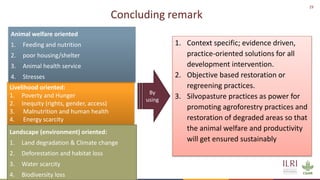 Silvopastoralism and welfare of farmed animals in Ethiopia 