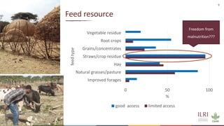 Silvopastoralism and welfare of farmed animals in Ethiopia 