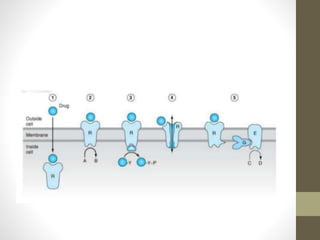 Farmacocinetica. Dr. Josafat Y. Arroyo Aparicio MD R1 TYO