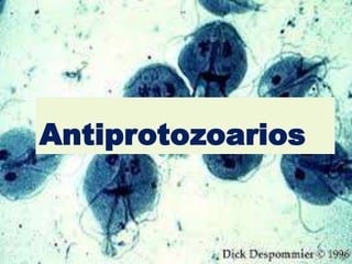 Antiprotozoarios 
 
