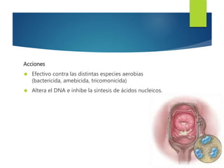 Acciones 
 Efectivo contra las distintas especies aerobias 
(bactericida, amebicida, tricomonicida) 
 Altera el DNA e inhibe la síntesis de ácidos nucleicos. 
 
