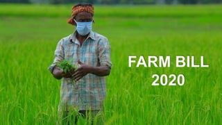 FARM BILL
2020
 