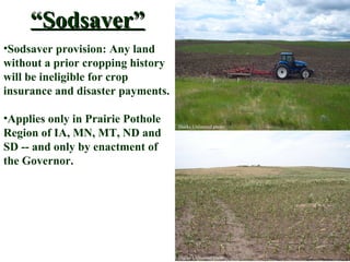 “ Sodsaver” Sodsaver provision: Any land without a prior cropping history will be ineligible for crop insurance and disaster payments. Applies only in Prairie Pothole Region of IA, MN, MT, ND and SD -- and only by enactment of the Governor. Ducks Unlimited photo Ducks Unlimited photo 