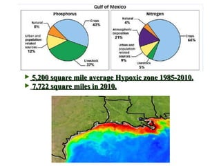 5,200 square mile average Hypoxic zone 1985-2010. 7,722 square miles in 2010.   