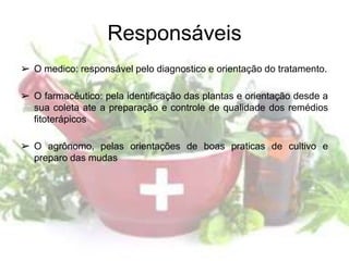 Responsáveis
➢ O medico: responsável pelo diagnostico e orientação do tratamento.
➢ O farmacêutico: pela identificação das plantas e orientação desde a
sua coleta ate a preparação e controle de qualidade dos remédios
fitoterápicos
➢ O agrônomo, pelas orientações de boas praticas de cultivo e
preparo das mudas
 