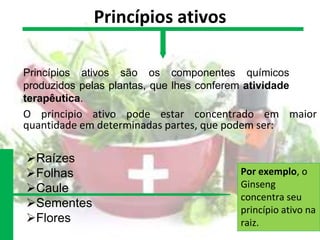 Princípios ativos
O principio ativo pode estar concentrado em maior
quantidade em determinadas partes, que podem ser:
Princípios ativos são os componentes químicos
produzidos pelas plantas, que lhes conferem atividade
terapêutica.
Por exemplo, o
Ginseng
concentra seu
princípio ativo na
raiz.
Raízes
Folhas
Caule
Sementes
Flores
 