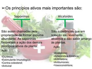 ➢Os princípios ativos mais importantes são:
Alcaloides
São substâncias que em
solução são levemente
alcalinos e dão sabor amargo
às plantas.
Ação:
•Analgésico;
•Amebicida e Emética;
•Antimalária;
•Antitumorais;
•Vasoconstritora;
Saponinas
São assim chamadas pela
propriedade de formar espuma
abundante. As saponinas
favorecem a ação dos demais
princípios ativos da planta.
Ação:
•Diurética;
•Estimulante Imunológico;
•Contra-colesterol;
•Antiviral
 