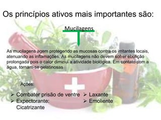 Mucilagens
As mucilagens agem protegendo as mucosas contra os irritantes locais,
atenuando as inflamações. As mucilagens não devem sofrer ebulição
prolongada pois o calor diminui a atividade biológica. Em contato com a
água, tornam-se gelatinosas
 Combater prisão de ventre
 Expectorante:
Cicatrizante
 Laxante
 Emoliente
Os princípios ativos mais importantes são:
Ações:
 