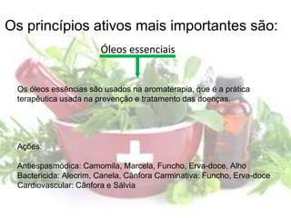 Óleos essenciais
Ações:
Antiespasmódica: Camomila, Marcela, Funcho, Erva-doce, Alho
Bactericida: Alecrim, Canela, Cânfora Carminativa: Funcho, Erva-doce
Cardiovascular: Cânfora e Sálvia
Os óleos essências são usados na aromaterapia, que é a prática
terapêutica usada na prevenção e tratamento das doenças.
Os princípios ativos mais importantes são:
 
