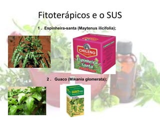 Fitoterápicos e o SUS
1 . Espinheira-santa (Maytenus ilicifolia);
2 . Guaco (Mikania glomerata);
 