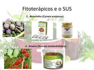Fitoterápicos e o SUS
3 . Alcachofra (Cynara scolymus);
4 . Aroeira (Schinus terebinthifolius);
 