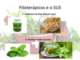 Fitoterápicos e o SUS
7. Isoflavona de Soja (Glycine max)
8. Hortelã (Mentha spicata)
 