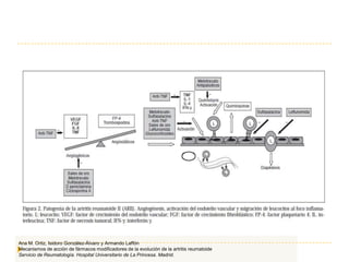 Ana M. Ortiz, Isidoro González-Álvaro y Armando Laffón
Mecanismos de acción de fármacos modificadores de la evolución de la artritis reumatoide
Servicio de Reumatología. Hospital Universitario de La Princesa. Madrid.
 