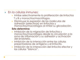    En la células inmunes:
       Inhibe selectivamente la proliferación de linfocitos
        T y B y monocitos/macrófagos.
       Disminuye la expresión de las moléculas de
        adhesión (selectinas) en linfocitos y
        monocitos/macrófagos al inhibir su glicosilación.
      Esto determina:
       Inhibición de la migración de linfocitos y
        monocitos/macrófagos desde la circulación a la
        zona de inflamación y su adhesión y activación
        del endotelio.
       Inhibición de la interacción entre las células
        presentadoras de antígeno y el linfocito.
       Inhibición de la interacción del linfocito efector y
        las células “blanco”.
 
