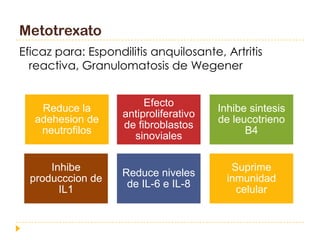 Metotrexato
Eficaz para: Espondilitis anquilosante, Artritis
  reactiva, Granulomatosis de Wegener


                         Efecto
    Reduce la                           Inhibe sintesis
                    antiproliferativo
   adehesion de                         de leucotrieno
                    de fibroblastos
    neutrofilos                               B4
                      sinoviales

      Inhibe                               Suprime
                    Reduce niveles
  producccion de                          inmunidad
                     de IL-6 e IL-8
        IL1                                 celular
 
