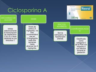 MECANISMO DE
ACCION
Inhibe
selectivamente
la transcripción
de interleukina
2 (IL-2) y otras
citokinas en los
linfocitos T.
DOSIS
Dosis de
entre 2,5
mg/kg/día, vía
oral,
incrementánd
ose en
0,5mg/kg/día
cada dos
semanas
hasta
alcanzar los 5
mg/kg/día.
EFECTOS
ADVERSOS
Son la
nefropatía y la
hipertensión
arterial;
CONTRAINDICACIO
N
Clasificada
como
categoría C
de la FDA con
respecto a
sus efectos
durante la
gestación
 