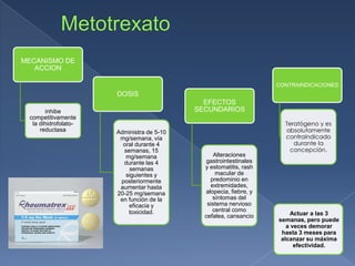 MECANISMO DE
ACCION
inhibe
competitivamente
la dihidrofolato-
reductasa
DOSIS
Administra de 5-10
mg/semana, vía
oral durante 4
semanas, 15
mg/semana
durante las 4
semanas
siguientes y
posteriormente
aumentar hasta
20-25 mg/semana
en función de la
eficacia y
toxicidad.
EFECTOS
SECUNDARIOS
Alteraciones
gastrointestinales
y estomatitis, rash
macular de
predominio en
extremidades,
alopecia, fiebre, y
síntomas del
sistema nervioso
central como
cefalea, cansancio
CONTRAINDICACIONES
Teratógeno y es
absolutamente
contraindicado
durante la
concepción.
Actuar a las 3
semanas, pero puede
a veces demorar
hasta 3 meses para
alcanzar su máxima
efectividad.
 