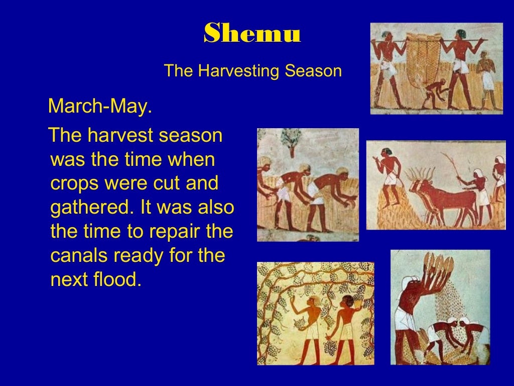 Farming and Seasons in Egypt