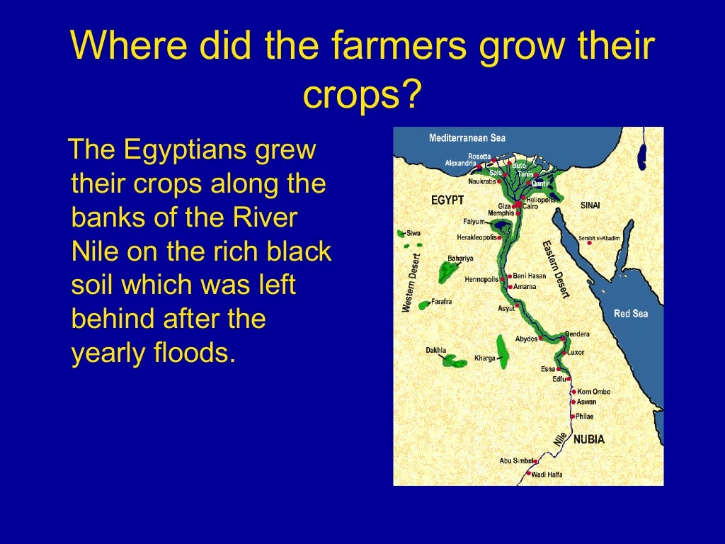 Farming and Seasons in Egypt