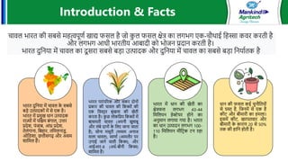 Farmer-s Guide For Paddy Crop- English - Copy -Hindi.pptx