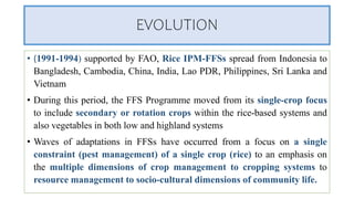 Farmer Field School.pptx