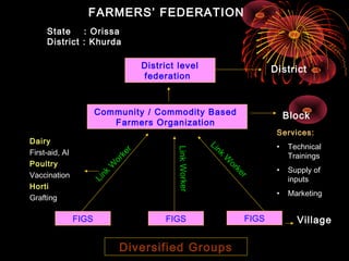 FARMERS’ FEDERATION
     State    : Orissa
     District : Khurda

                                  District level                                    District
                                  federation



                       Community / Commodity Based                                       Block
                          Farmers Organization
                                                                                     Services:
Dairy                                                   Li
                                                          nk                         •   Technical


                                          Link Worker
First-aid, AI
                              r


                                                               W                         Trainings
                            ke



                                                                   or
                         or




Poultry                                                               ke
                        W




                                                                         r           •   Supply of
Vaccination
                      nk




                                                                                         inputs
                   Li




Horti
                                                                                     •   Marketing
Grafting

                FIGS                    FIGS                                 FIGS          Village

                           Diversified Groups
 