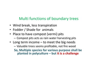 Boundary Tree Farmer perspective on Farm boundary trees Her Med Per Ped | PDF