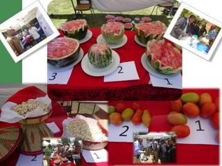 Tasters preference for some  LIVES’ commodities 