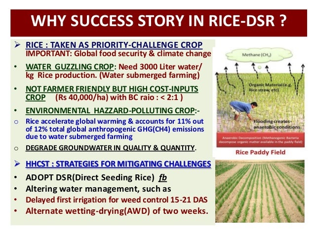 Farmers novel herbal hydrogel coating seed tech