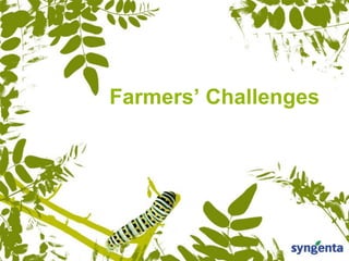 Farmers’ Challenges
 