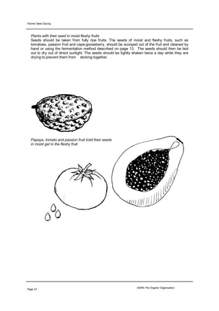 Farmer Seed Saving



  Plants with their seed in moist fleshy fruits
  Seeds should be taken from fully ripe fruits. The seeds of moist and fleshy fruits, such as
  tomatoes, passion fruit and cape-gooseberry, should be scooped out of the fruit and cleaned by
  hand or using the fermentation method described on page 13. The seeds should then be laid
  out to dry out of direct sunlight. The seeds should be lightly shaken twice a day while they are
  drying to prevent them from sticking together.




  Papaya, tomato and passion fruit hold their seeds
  in moist gel in the fleshy fruit.




                                                                  HDRA-The Organic Organisation
Page 23
 