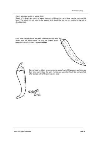 Farmer Seed Saving



  Plants with their seeds in hollow fruits
  Seeds of hollow fruits, such as sweet peppers, chilli peppers and okra, can be removed by
  hand. The seeds do not need to be washed and should be laid out on a plate to dry out of
  direct sunlight.




  Okra pods can be left on the plant until they are dry and
  brown and the seeds rattle, or may be picked when
  green and left to dry for a couple of weeks.




                         Care should be taken when removing seeds from chilli peppers and okra, as
                         their juice can irritate the skin. Hands and utensils should be well washed
                         after contact with chilli peppers and okra.




HDRA-The Organic Organisation                                                                 Page 24
 