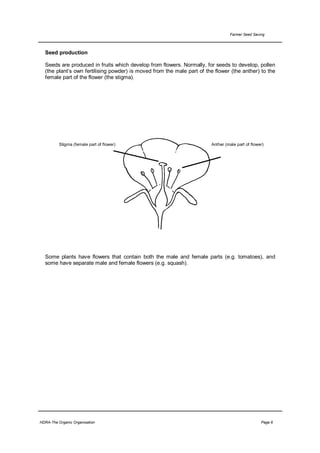 Farmer Seed Saving



  Seed production

  Seeds are produced in fruits which develop from flowers. Normally, for seeds to develop, pollen
  (the plant’s own fertilising powder) is moved from the male part of the flower (the anther) to the
  female part of the flower (the stigma).




          Stigma (female part of flower)                                Anther (male part of flower)




  Some plants have flowers that contain both the male and female parts (e.g. tomatoes), and
  some have separate male and female flowers (e.g. squash).




HDRA-The Organic Organisation                                                                     Page 6
 