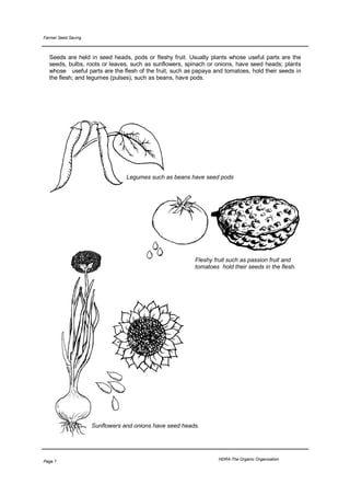 Farmer Seed Saving



  Seeds are held in seed heads, pods or fleshy fruit. Usually plants whose useful parts are the
  seeds, bulbs, roots or leaves, such as sunflowers, spinach or onions, have seed heads; plants
  whose useful parts are the flesh of the fruit, such as papaya and tomatoes, hold their seeds in
  the flesh; and legumes (pulses), such as beans, have pods.




                                 Legumes such as beans have seed pods




                                                         Fleshy fruit such as passion fruit and
                                                         tomatoes hold their seeds in the flesh.




                     Sunflowers and onions have seed heads.




                                                                  HDRA-The Organic Organisation
Page 7
 