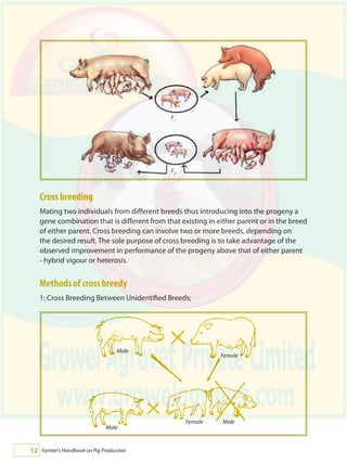 Farmer's Handbook on Pig Production12
Cross breeding
Mating two individuals from different breeds thus introducing into the progeny a
gene combination that is different from that existing in either parent or in the breed
of either parent. Cross breeding can involve two or more breeds, depending on
the desired result. The sole purpose of cross breeding is to take advantage of the
observed improvement in performance of the progeny above that of either parent
- hybrid vigour or heterosis.
Methods of cross breedy
1: Cross Breeding Between Unidentified Breeds;
Male
Female
Male
Female Male
F1
F2
 