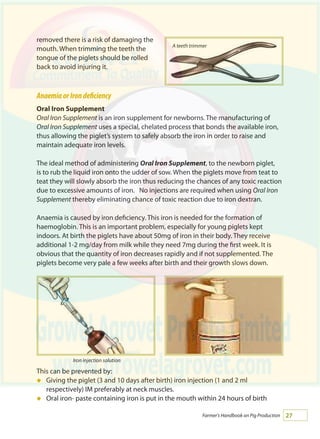 27Farmer's Handbook on Pig Production
removed there is a risk of damaging the
mouth. When trimming the teeth the
tongue of the piglets should be rolled
back to avoid injuring it.
AnaemiaorIrondeficiency
Oral Iron Supplement
Oral Iron Supplement is an iron supplement for newborns. The manufacturing of
Oral Iron Supplement uses a special, chelated process that bonds the available iron,
thus allowing the piglet’s system to safely absorb the iron in order to raise and
maintain adequate iron levels.
The ideal method of administering Oral Iron Supplement, to the newborn piglet,
is to rub the liquid iron onto the udder of sow. When the piglets move from teat to
teat they will slowly absorb the iron thus reducing the chances of any toxic reaction
due to excessive amounts of iron. No injections are required when using Oral Iron
Supplement thereby eliminating chance of toxic reaction due to iron dextran.
Anaemia is caused by iron deficiency. This iron is needed for the formation of
haemoglobin. This is an important problem, especially for young piglets kept
indoors. At birth the piglets have about 50mg of iron in their body. They receive
additional 1-2 mg/day from milk while they need 7mg during the first week. It is
obvious that the quantity of iron decreases rapidly and if not supplemented. The
piglets become very pale a few weeks after birth and their growth slows down.
This can be prevented by:
Giving the piglet (3 and 10 days after birth) iron injection (1 and 2 ml
respectively) IM preferably at neck muscles.
Oral iron- paste containing iron is put in the mouth within 24 hours of birth
á
á
A teeth trimmer
Iron injection solution
 