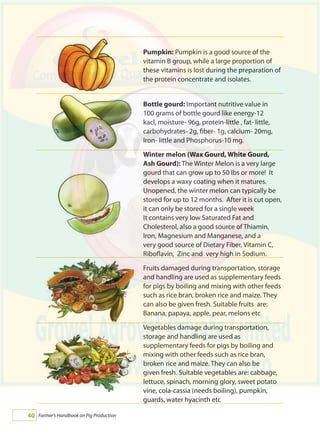 Farmer's Handbook on Pig Production40
Pumpkin: Pumpkin is a good source of the
vitamin B group, while a large proportion of
these vitamins is lost during the preparation of
the protein concentrate and isolates.
Bottle gourd: Important nutritive value in
100 grams of bottle gourd like energy-12
kacl, moisture- 96g, protein-little , fat- little,
carbohydrates- 2g, fiber- 1g, calcium- 20mg,
Iron- little and Phosphorus-10 mg.
Winter melon (Wax Gourd, White Gourd,
Ash Gourd): The Winter Melon is a very large
gourd that can grow up to 50 lbs or more!  It
develops a waxy coating when it matures.
Unopened, the winter melon can typically be
stored for up to 12 months.  After it is cut open,
it can only be stored for a single week
It contains very low Saturated Fat and
Cholesterol, also a good source of Thiamin,
Iron, Magnesium and Manganese, and a
very good source of Dietary Fiber, Vitamin C,
Riboflavin, Zinc and very high in Sodium.
Fruits damaged during transportation, storage
and handling are used as supplementary feeds
for pigs by boiling and mixing with other feeds
such as rice bran, broken rice and maize. They
can also be given fresh. Suitable fruits are:
Banana, papaya, apple, pear, melons etc
Vegetables damage during transportation,
storage and handling are used as
supplementary feeds for pigs by boiling and
mixing with other feeds such as rice bran,
broken rice and maize. They can also be
given fresh. Suitable vegetables are: cabbage,
lettuce, spinach, morning glory, sweet potato
vine, cola-cassia (needs boiling), pumpkin,
guards, water hyacinth etc
 