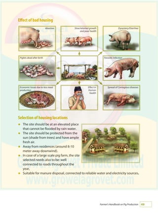 49Farmer's Handbook on Pig Production
Effect of bad housing
Selection of housing locations
The site should be at an elevated place
that cannot be flooded by rain water.
The site should be protected from the
sun (shade from trees) and have ample
fresh air.
Away from residences (around 8-10
meter away downwind).
In case of a large scale pig farm, the site
selected needs also to be: well
connected to roads throughout the
year,
Suitable for manure disposal, connected to reliable water and electricity sources.	
á
á
á
á
á
Abortion Slow/retarted growth
and poor health
Dysentery/Diarrhea
Piglets dead after birth Parasitic Infection
Economic losses due to less meat
production
Effect in
Human
health
Spread of Contagious diseases
 