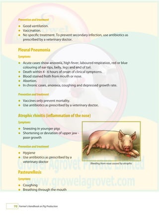 Farmers Handbook on Pig Production | PDF