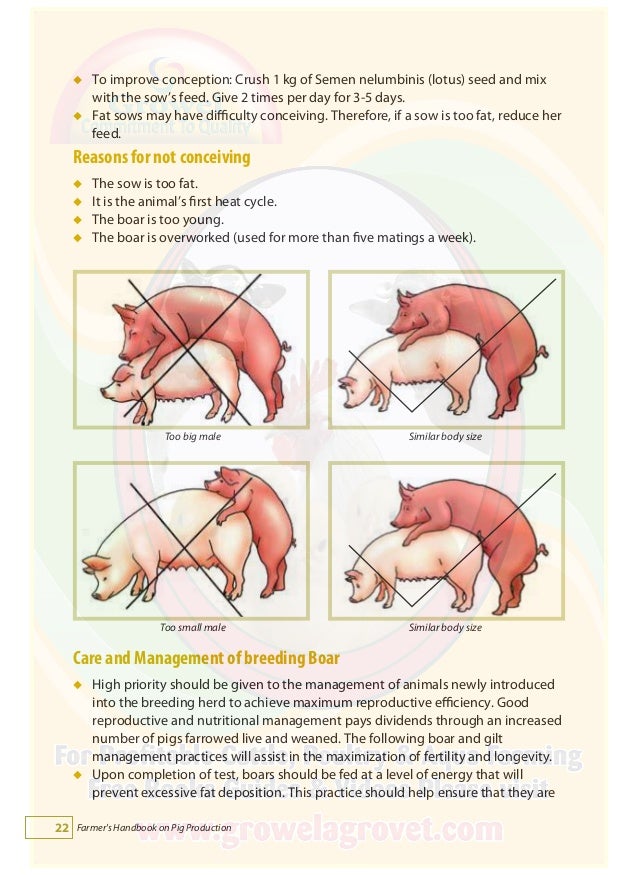 Weekly Times Farmers Handbook
