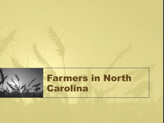 Farmers in North Carolina 