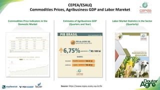 CEPEA/ESALQ
Commodities Prices, Agribusiness GDP and Labor Mareket
Commodities Price Indicators in the
Domestic Market
Estimates of Agribusiness GDP
(Quarters and Year)
Labor Market Statistics in the Sector
(Quarterly)
Source: https://www.cepea.esalq.usp.br/br
 