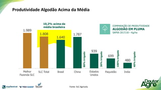 Produtividade Algodão Acima da Média
10,2% acima da
média brasileira
COMPARAÇÃO DE PRODUTIVIDADE
ALGODÃO EM PLUMA
SAFRA 2017/18 – Kg/ha
80%
irrigado
30%
irrigado
100%
irrigado
40%
irrigado
1.989
1.808
1.640
1.787
939
699
480
Melhor
Fazenda SLC
SLC Total Brasil China Estados
Unidos
Paquistão India
Fonte: SLC Agrícola
 