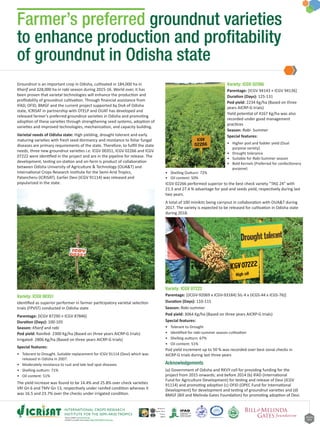 January
2018
Farmer’s preferred groundnut varieties
to enhance production and profitability
of groundnut in Odisha state
About ICRISAT: www.icrisat.org
ICRISAT’s scientific information: http://EXPLOREit.icrisat.org
Groundnut is an important crop in Odisha, cultivated in 184,000 ha in
Kharif and 328,000 ha in rabi season during 2015-16. World over, it has
been proven that varietal technologies will enhance the production and
profitability of groundnut cultivation. Through financial assistance from
IFAD, OFID, BMGF and the current project supported by DoA of Odisha
state, ICRISAT in partnership with OTELP and OUAT has developed and
released farmer’s preferred groundnut varieties in Odisha and promoting
adoption of these varieties through strengthening seed systems, adoption of
varieties and improved technologies, mechanization, and capacity building.
Varietal needs of Odisha state: High yielding, drought tolerant and early
maturing varieties with fresh seed dormancy and resistance to foliar fungal
diseases are primary requirements of the state. Therefore, to fulfill the state
needs, three new groundnut varieties i.e. ICGV 00351, ICGV 02266 and ICGV
07222 were identified in the project and are in the pipeline for release. The
development, testing on-station and on-farm is product of collaboration
between Odisha University of Agriculture & Technology (OUA&T) and
International Crops Research Institute for the Semi-Arid Tropics,
Patancheru (ICRISAT). Earlier Devi (ICGV 91114) was released and
popularized in the state.
Variety: ICGV 00351
Identified as superior performer in farmer participatory varietal selection
trials (FPVST) conducted in Odisha state
Parentage: [ICGV 87290 × ICGV 87846]
Duration (Days): 100-105
Season: Kharif and rabi
Pod yield: Rainfed- 2300 Kg/ha (Based on three years AICRP-G trials)
Irrigated- 2806 Kg/ha (Based on three years AICRP-G trials)
Special features:
•	 Tolerant to Drought. Suitable replacement for ICGV 91114 (Devi) which was
released in Odisha in 2007.
•	 Moderately resistance to rust and late leaf spot diseases
•	 Shelling outturn: 71%
•	 Oil content: 51%
The yield increase was found to be 14.4% and 25.8% over check varieties
VRI Gn 6 and TMV Gn 13, respectively under rainfed condition whereas it
was 16.5 and 23.7% over the checks under irrigated condition.
Variety: ICGV 02266
Parentage: [ICGV 94143 × ICGV 94136]
Duration (Days): 125-131
Pod yield: 2234 Kg/ha (Based on three
years AICRP-G trials)
Yield potential of 4167 Kg/ha was also
recorded under good management
practices
Season: Rabi- Summer
Special features:
•	 Higher pod and fodder yield (Dual
purpose variety)
•	 Drought tolerance
•	 Suitable for Rabi-Summer season
•	 Bold Kernels (Preferred for confectionery
purpose)
•	 Shelling Outturn: 72%
•	 Oil content: 50%
ICGV 02266 performed superior to the best check variety “TAG 24” with
21.3 and 27.4 % advantage for pod and seeds yield, respectively during last
two years.
A total of 100 minikits being carryout in collaboration with OUA&T during
2017. The variety is expected to be released for cultivation in Odisha state
during 2018.
Variety: ICGV 07222
Parentage: [(ICGV-92069 x ICGV-93184) SIL-4 x (ICGS-44 x ICGS-76)]
Duration (Days): 110-115
Season: Rabi-summer
Pod yield: 3064 Kg/ha (Based on three years AICRP-G trials)
Special features:
•	 Tolerant to Drought
•	 Identified for rabi-summer season cultivation
•	 Shelling outturn: 67%
•	 Oil content: 51%
Pod yield increment up to 50 % was recorded over best zonal checks in
AICRP-G trials during last three years
Acknowledgements
(a) Government of Odisha and RKVY cell for providing funding for the
project from 2015 onwards; and before 2014 (b) IFAD (International
Fund for Agriculture Development) for testing and release of Devi (ICGV
91114) and promoting adoption (c) OFID (OPEC Fund for International
Development) for development and testing of groundnut varieties and (d)
BMGF (Bill and Melinda Gates Foundation) for promoting adoption of Devi.
 